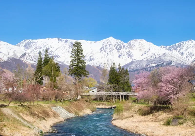 大出の吊橋（大出公園）