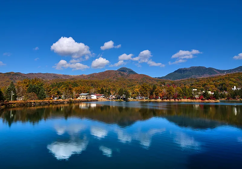 夢科湖