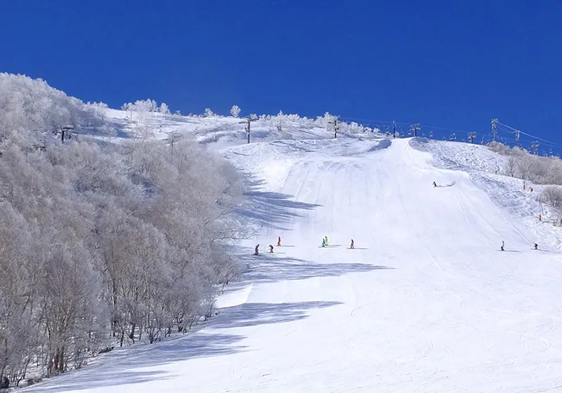 車山高原SKYPARKスキー場